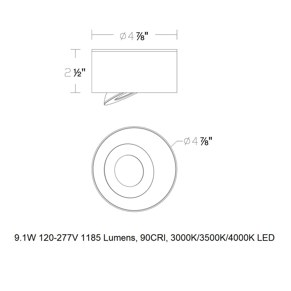 I Spy LED Outdoor Flush Mount