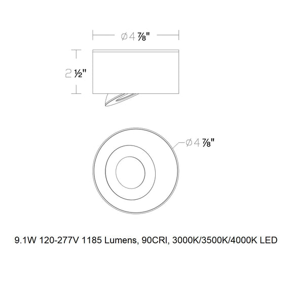 I Spy LED Outdoor Flush Mount