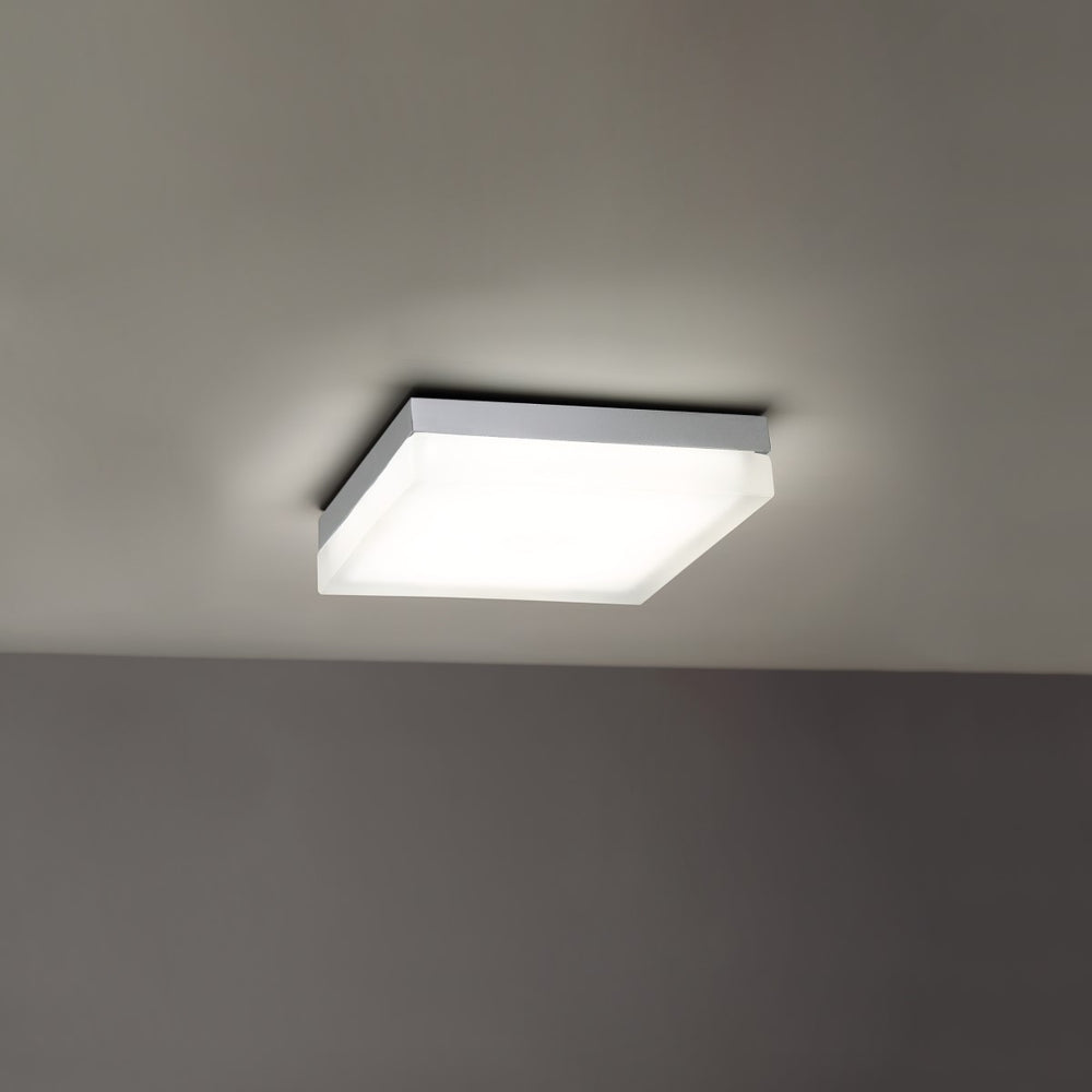 Matrix Outdoor Wall / Ceiling Light