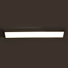 Neo Rectangular Wall / Ceiling Light