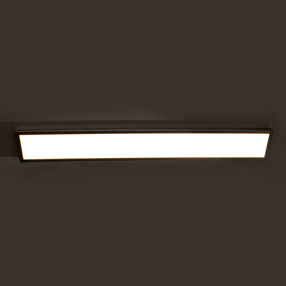 Neo Rectangular Wall / Ceiling Light