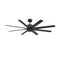 Renegade Indoor/Outdoor Ceiling Fan  option Matte Black