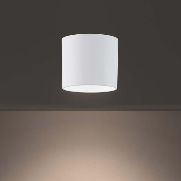 Squat LED Outdoor Flush Mount