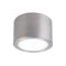 Vessel Outdoor Wall / Ceiling Light  option Brushed Aluminum