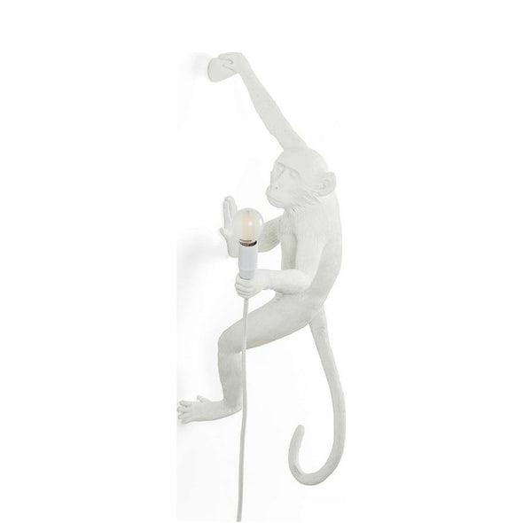 Monkey Outdoor Hanging Lamp