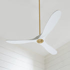 Maverick Indoor/Outdoor Ceiling Fan