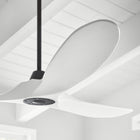 Maverick LED Ceiling Fan