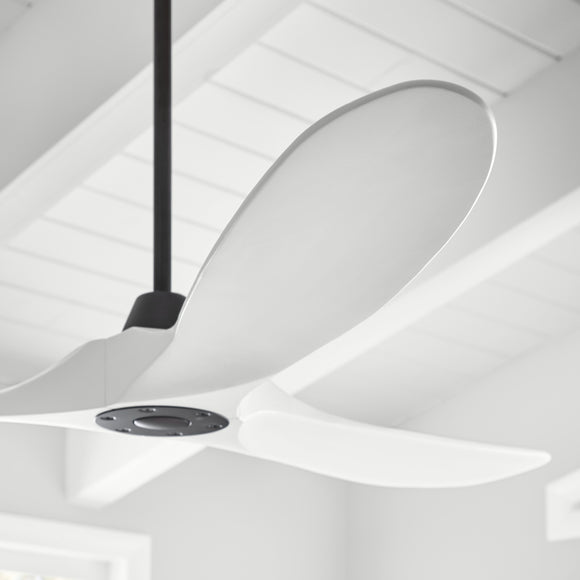 Maverick LED Ceiling Fan