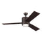 Vision Max Indoor/Outdoor Ceiling Fan  option Roman Bronze
