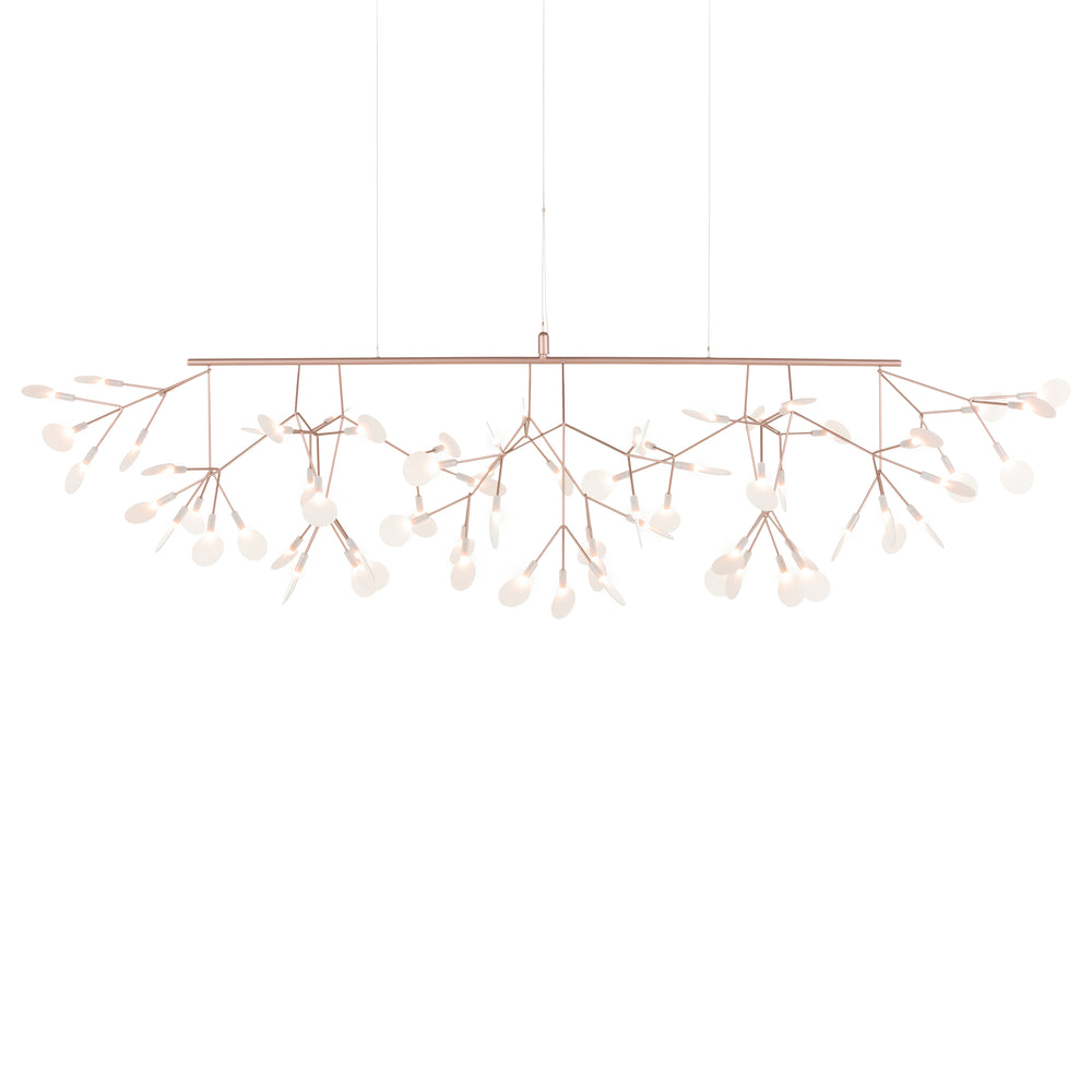 Heracleum III Linear Light