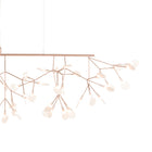 Heracleum III Linear Light