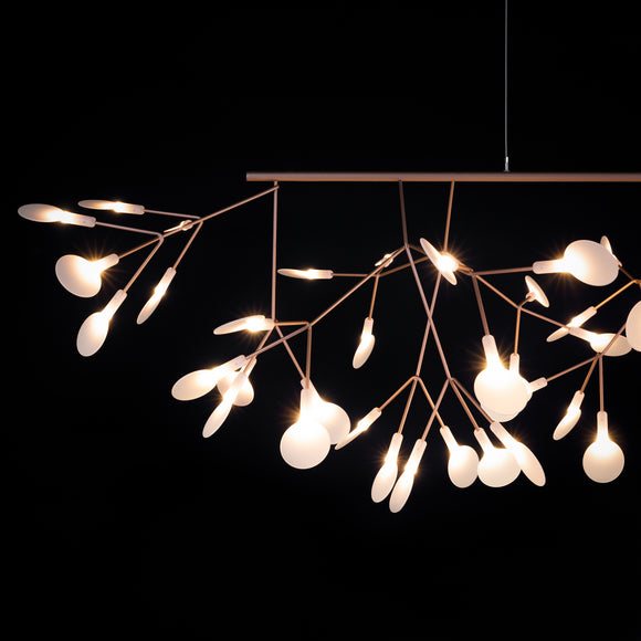 Heracleum III Linear Light