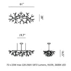 Heracleum III Linear Light