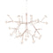 Heracleum III Suspended Light  option Copper