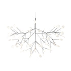 Heracleum III Suspended Light