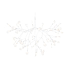 Heracleum III Suspended Light