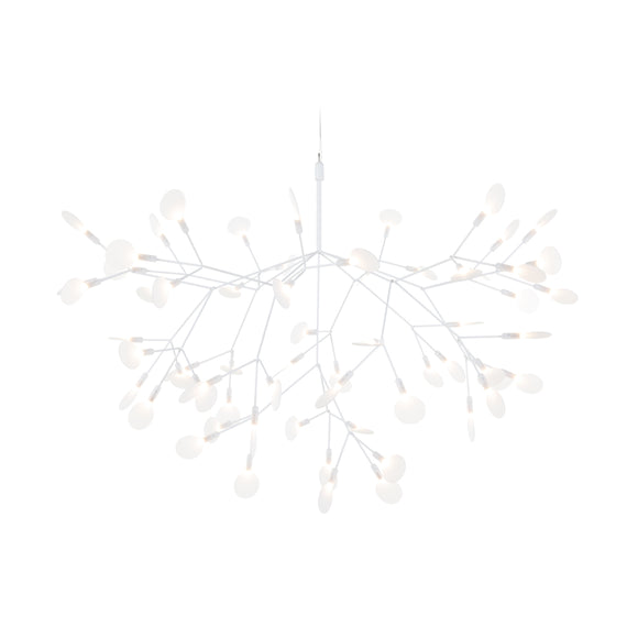 Heracleum III Suspended Light