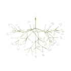 Heracleum III Suspended Light