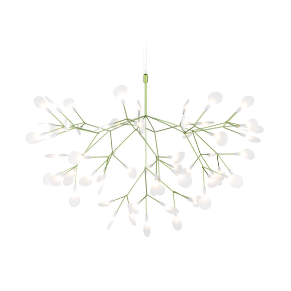 Heracleum III Suspended Light