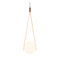 NomNom Pendant Light  option Ginger