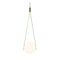 NomNom Pendant Light  option Wasabi