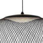 NR2 Pendant Light