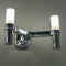 Crown Wall Light  option Polished