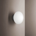 Maga Wall Lamp