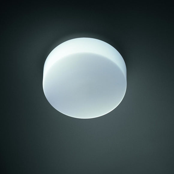 Tango Wall or Ceiling Light