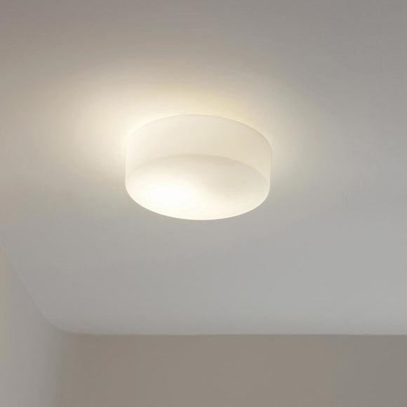 Tango Wall or Ceiling Light