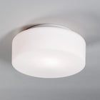 Tango Wall or Ceiling Light