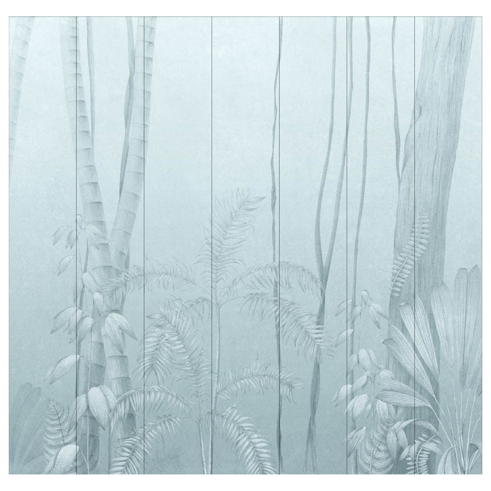 Amazonas Wallpaper