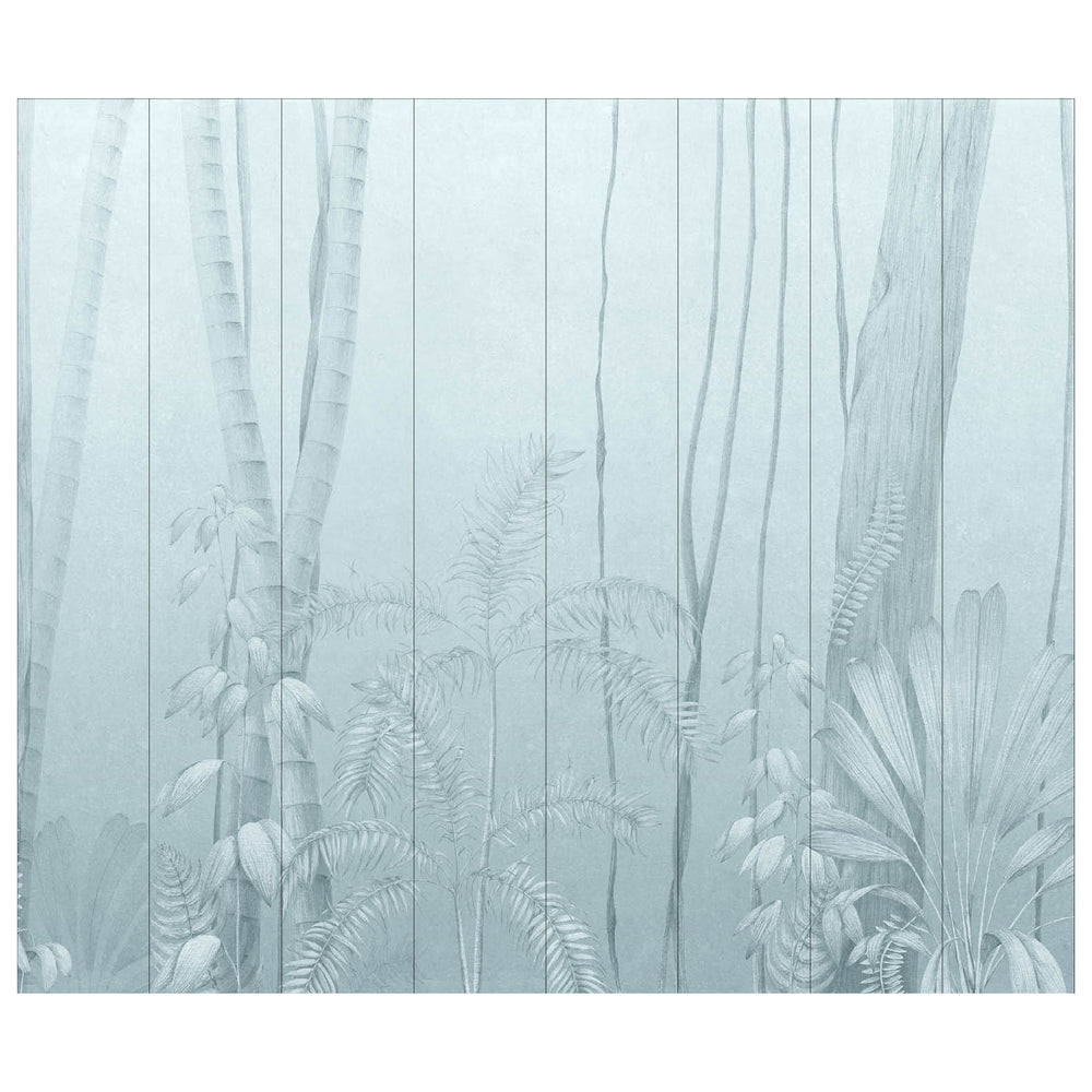 Amazonas Wallpaper