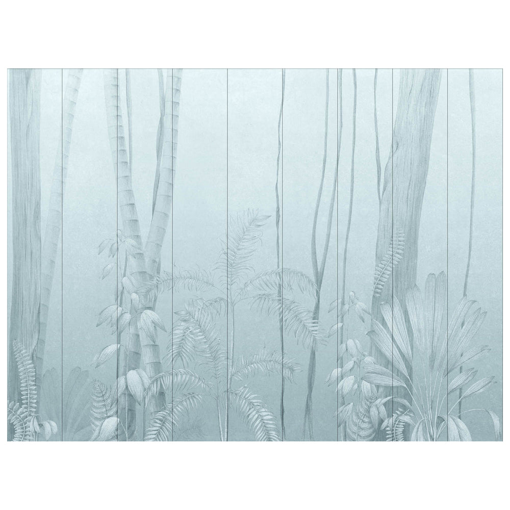 Amazonas Wallpaper