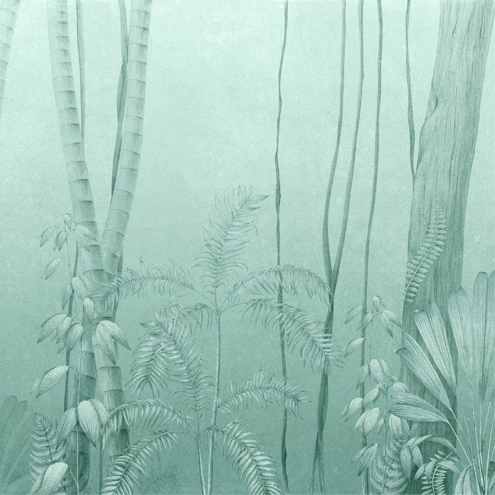 Amazonas Wallpaper