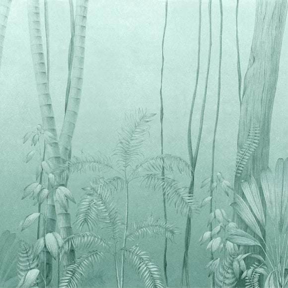 Amazonas Wallpaper