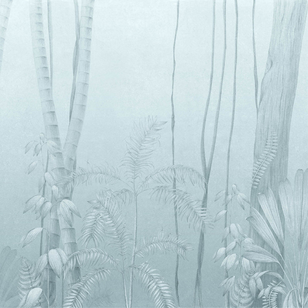 Amazonas Wallpaper