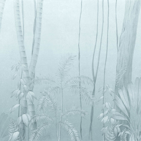 Amazonas Wallpaper