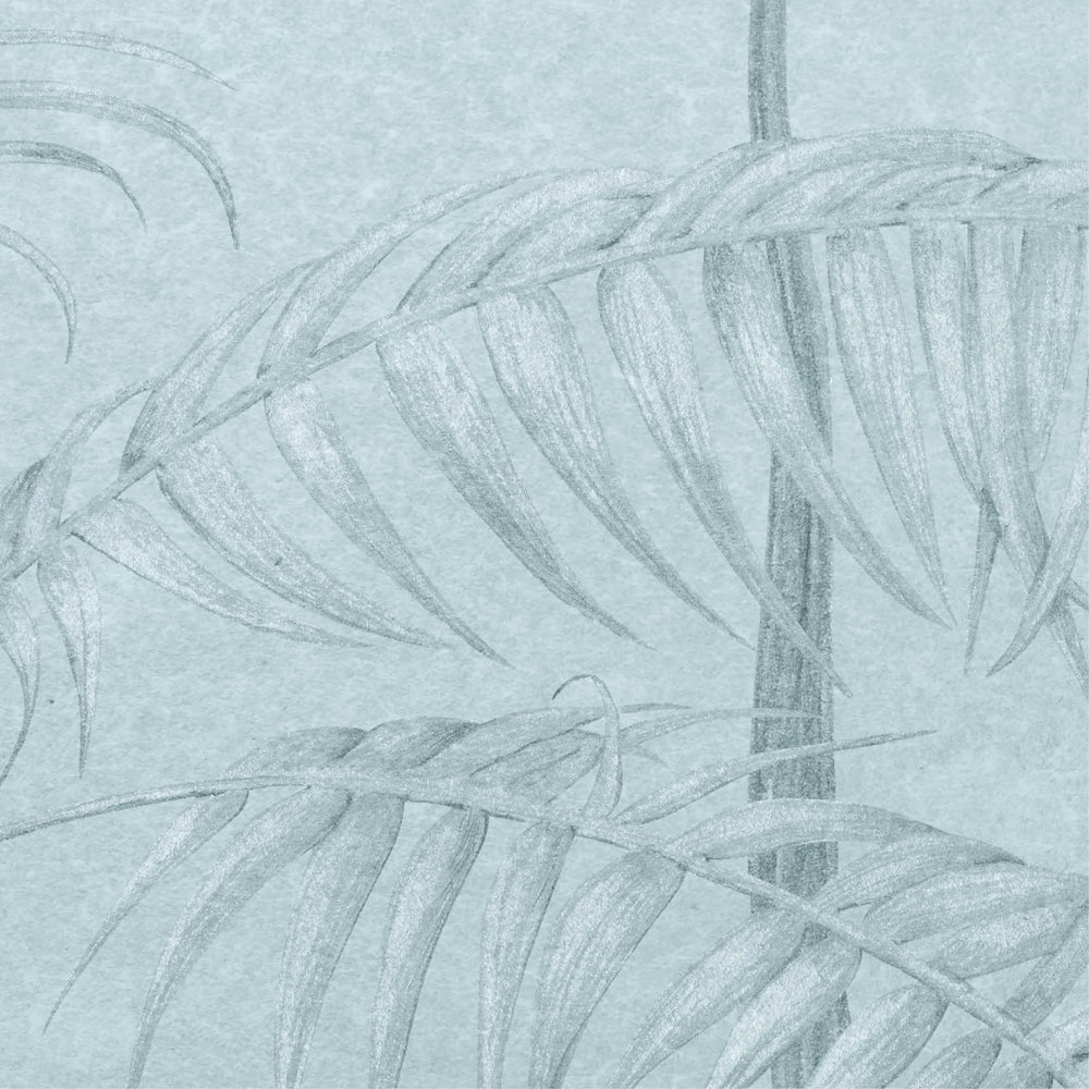 Amazonas Wallpaper