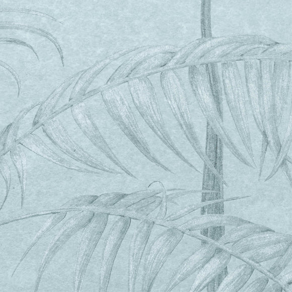 Amazonas Wallpaper