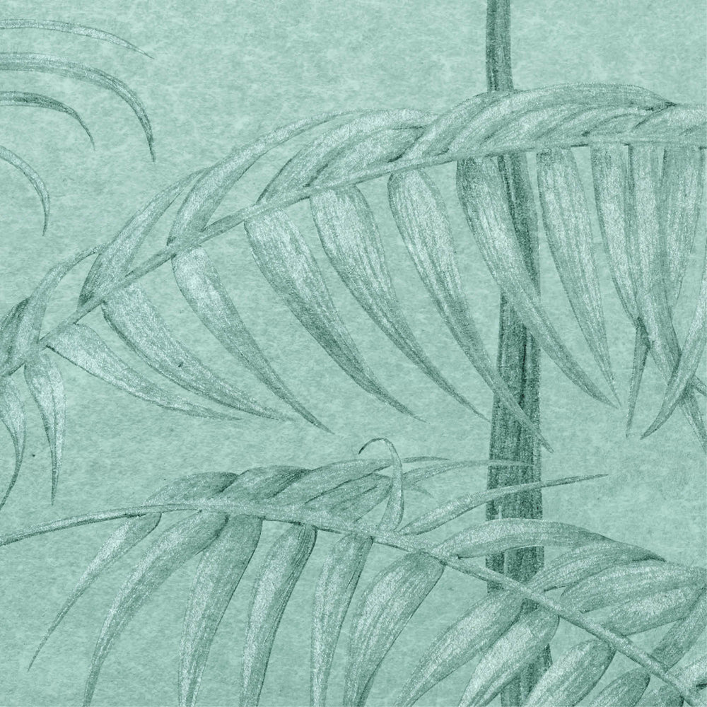 Amazonas Wallpaper