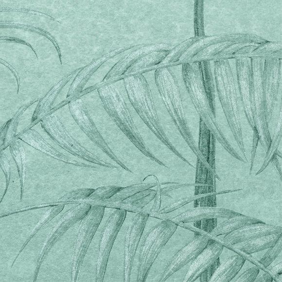 Amazonas Wallpaper