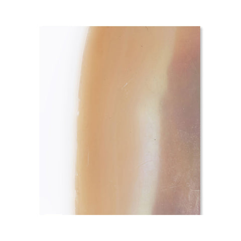 DRO-07 Obsession Mural Wallpaper Sample Swatch