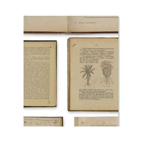 EKA-07 Biblioteca Wallpaper Sample Swatch