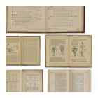 EKA-07 Biblioteca Wallpaper Sample Swatch