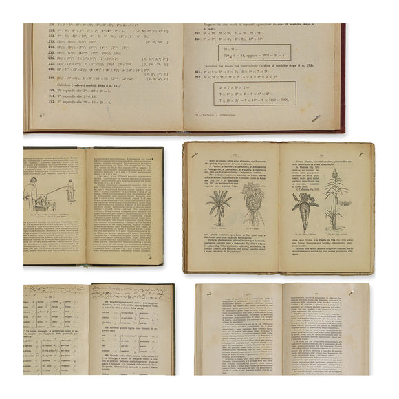 EKA-07 Biblioteca Wallpaper Sample Swatch