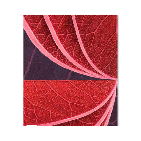 Hidden Fruits Wallpaper Sample Swatch