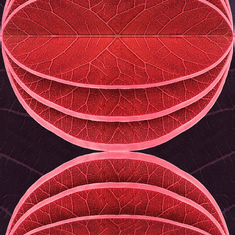 Hidden Fruits Wallpaper