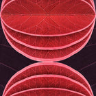 Hidden Fruits Wallpaper