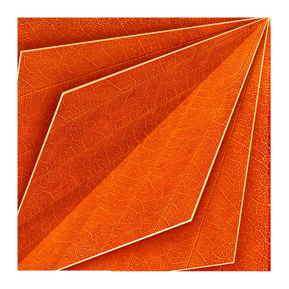 Orange Bloom Wallpaper Sample Swatch